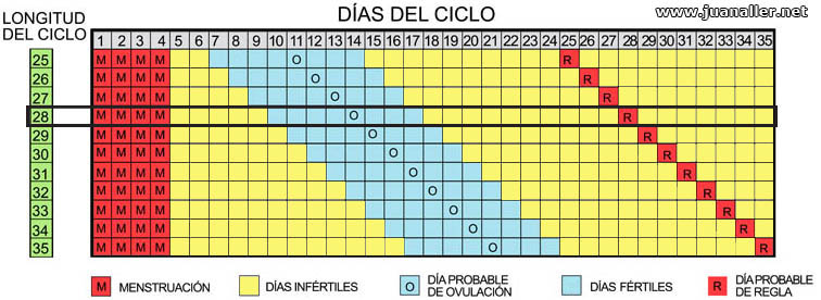 como quedar embarazada de gemelos naturalmente