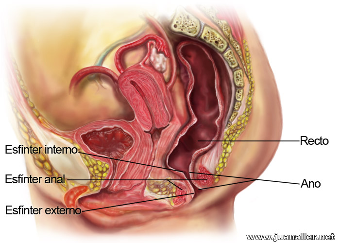 La Penetracion Anal 113