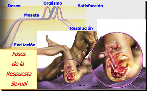 Cual es mi resolucion